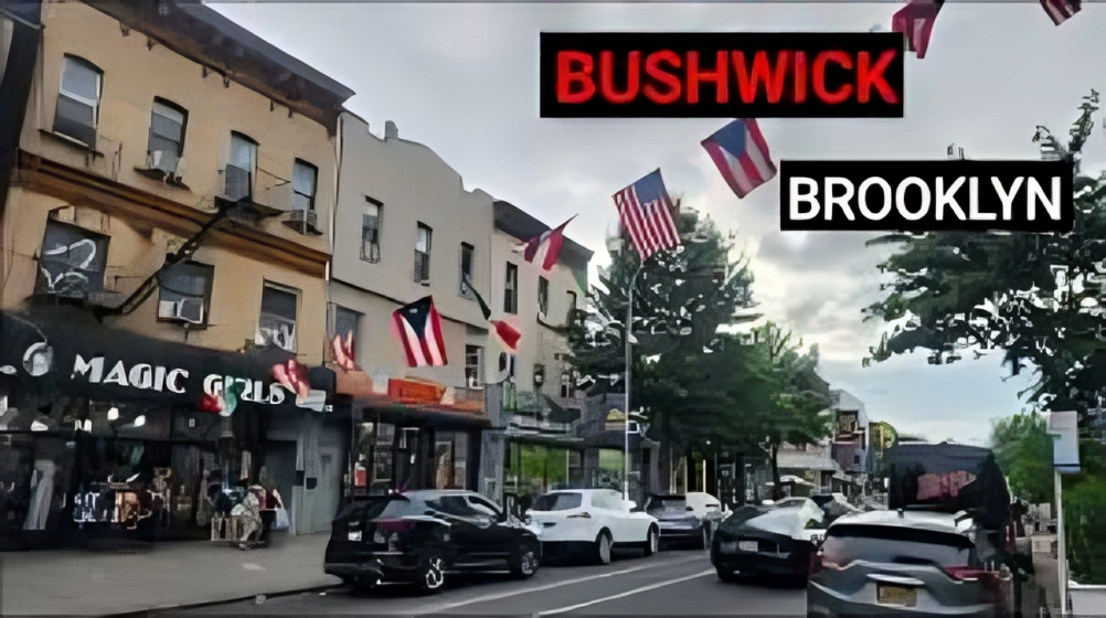Junk Removal in Bushwick